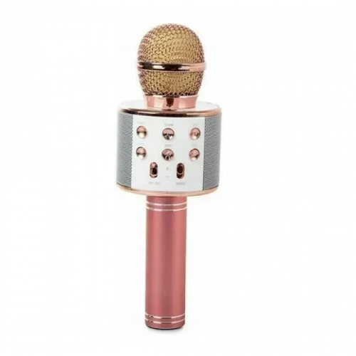  Ασύρματο Μικρόφωνο Καραόκε WS-858  (Rose Gold)
