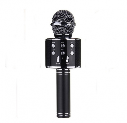 Ασύρματο Μικρόφωνο Καραόκε WS-858